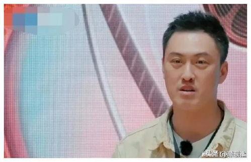 娱乐圈吃瓜爆料小刀,揭秘明星幕后真相，吃瓜爆料一网打尽！